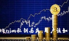 如果Tokenim私钥丢失，用户该如何应对？
