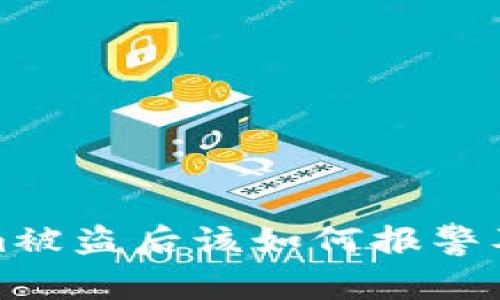 : tokenim被盗后该如何报警及处理指南