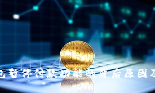 : 数字钱包暂停付款功能的背后原因及解决方案