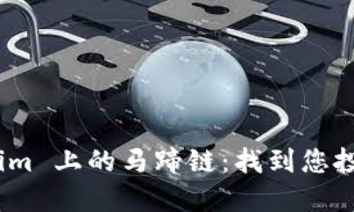 探索 Tokenim 上的马蹄链:找到您投资的新机遇