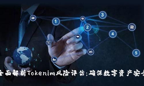 全面解析Tokenim风险评估:确保数字资产安全
