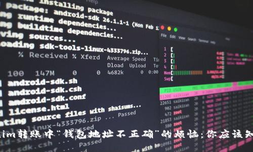 解决Tokenim转账中“钱包地址不正确”的烦恼:你应该知道的几点!