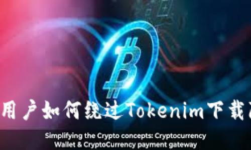 国内用户如何绕过Tokenim下载障碍？