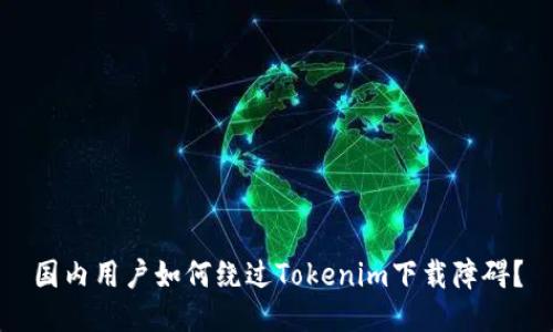 国内用户如何绕过Tokenim下载障碍？