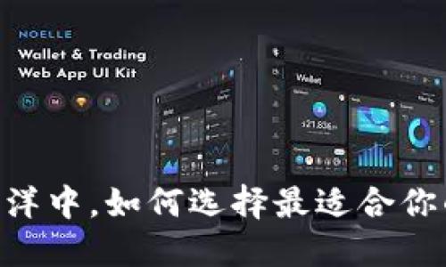 在加密货币的海洋中，如何选择最适合你的BSV火币钱包？