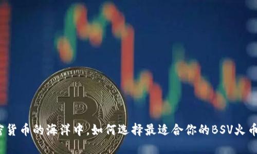 在加密货币的海洋中，如何选择最适合你的BSV火币钱包？