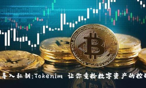 轻松导入私钥:Tokenim 让你重拾数字资产的控制权!