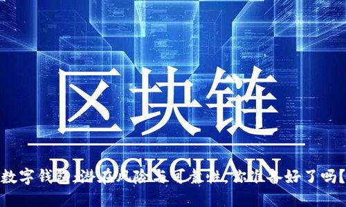 数字钱包:潜在风险与可靠性,你准备好了吗?